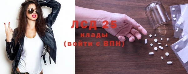 spice Горняк