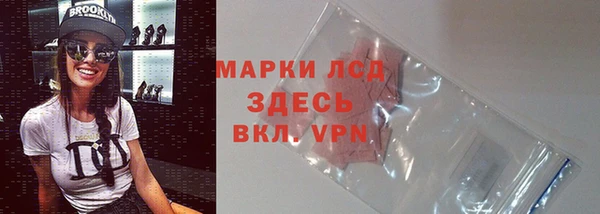 spice Горняк