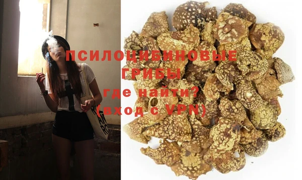 spice Горняк