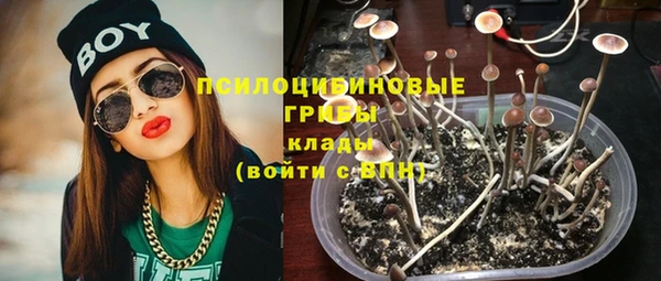 spice Горняк