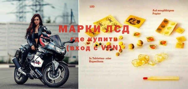 spice Горняк