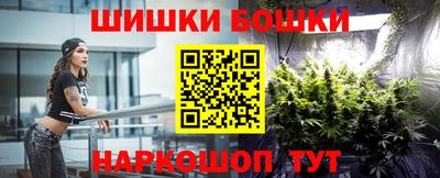 стафф Будённовск