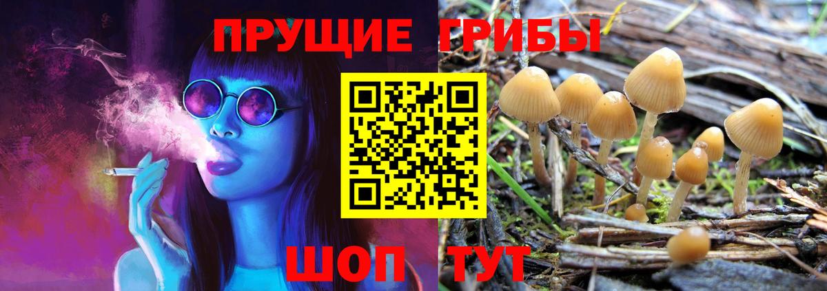 Гагарин  Псилоцибиновые грибы прущие грибы  Вход с VPN  Галлюциногенные грибы MAGIC MUSHROOMS 