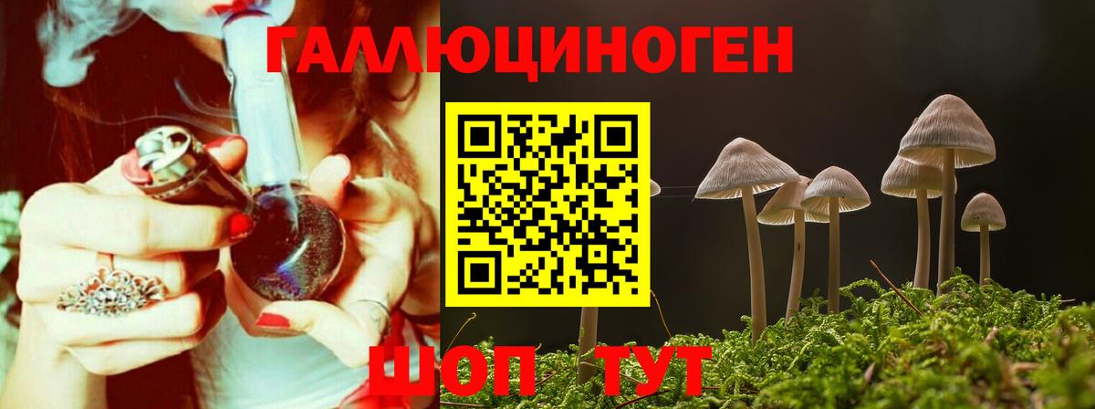 Псилоцибиновые грибы Cubensis  Гагарин 